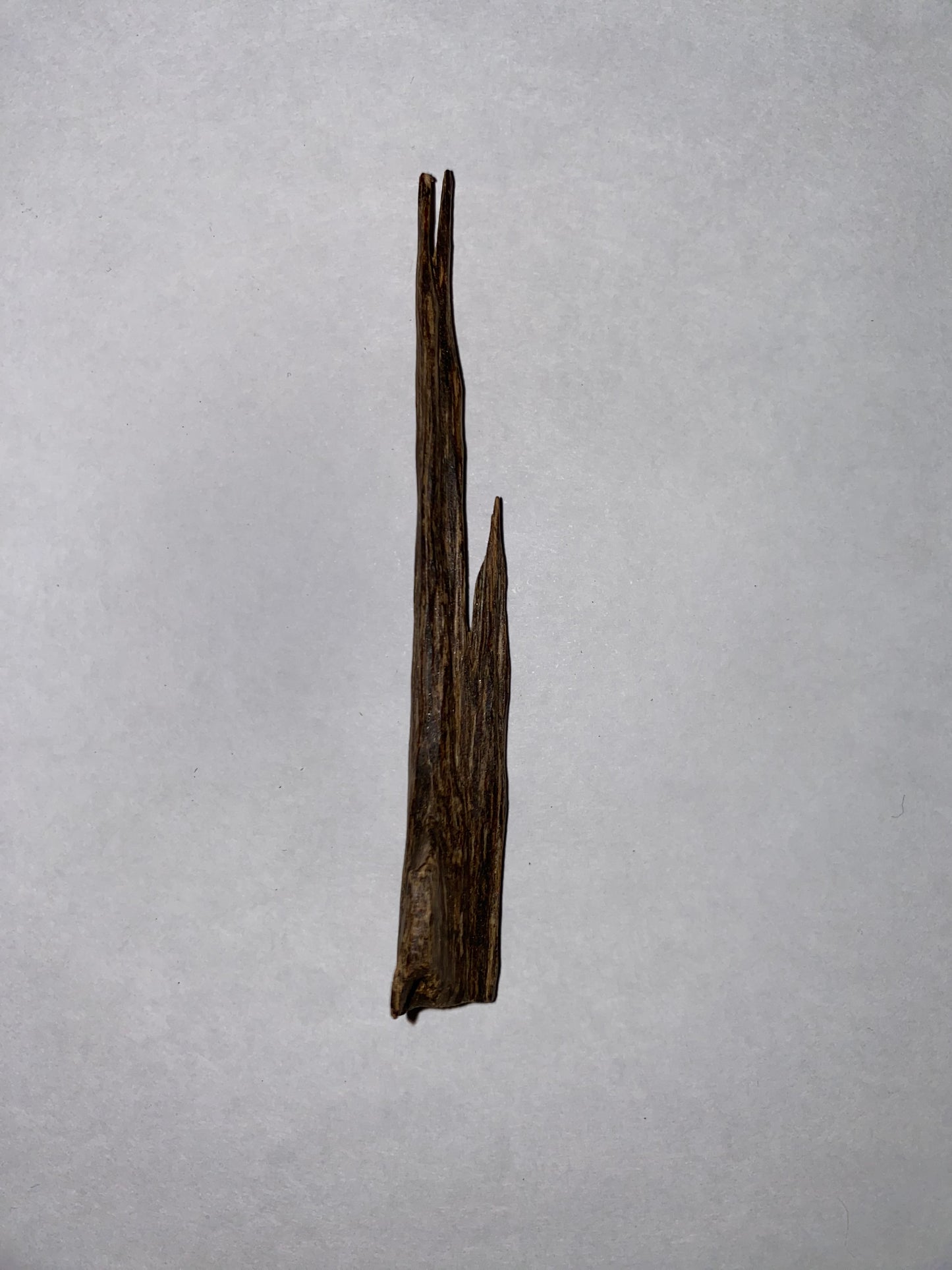 Royal Seufi sallah Agarwood